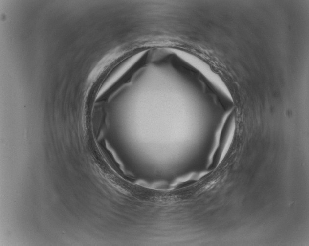 X0000080200296200612221412