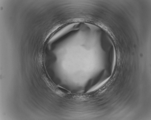 X0000080200297200612221412