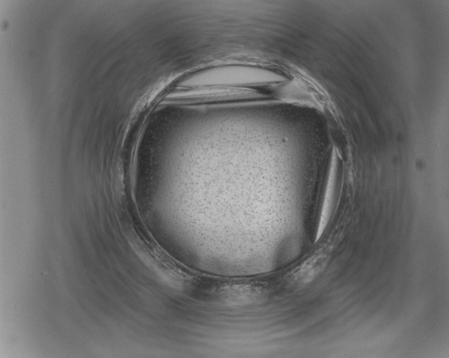 X0000080200298200612221412