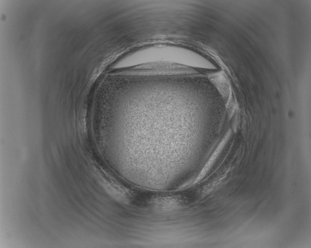 X0000080200299200612221412