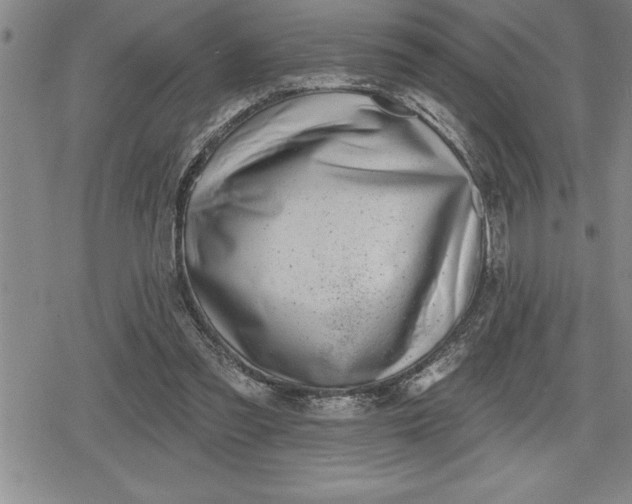 X0000080200301200612221412