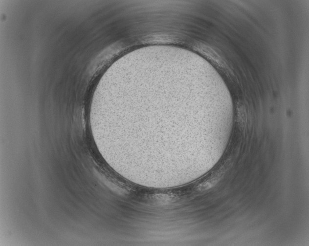 X0000080200302200612221412