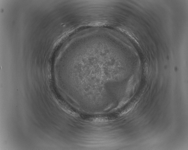 X0000080200303200612221412