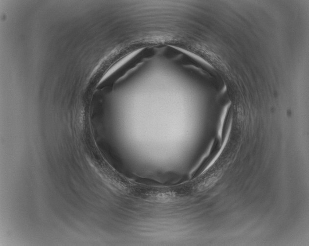 X0000080200304200612221412