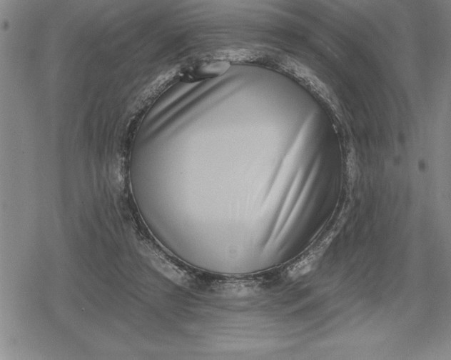 X0000080200305200612221412