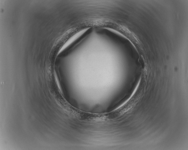 X0000080200306200612221412