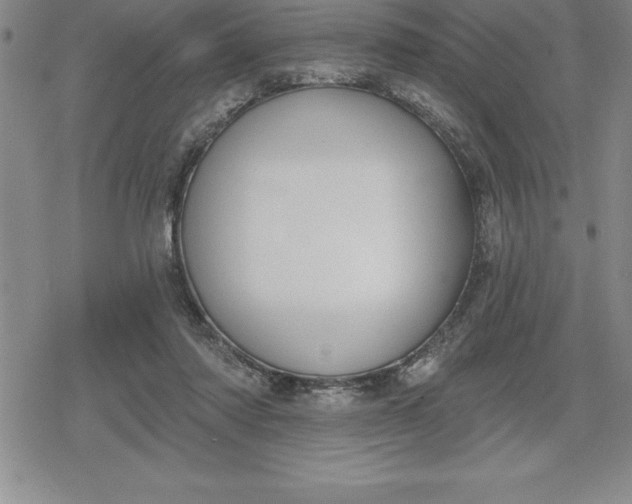 X0000080200310200612221412