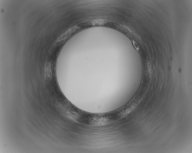 X0000080200311200612221412