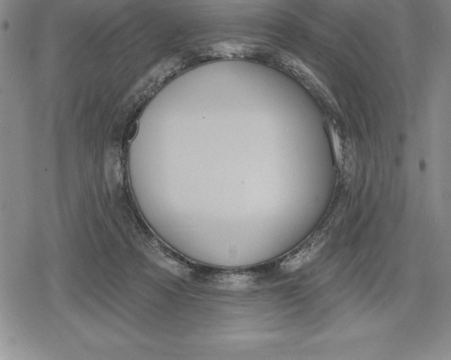 X0000080200313200612221412