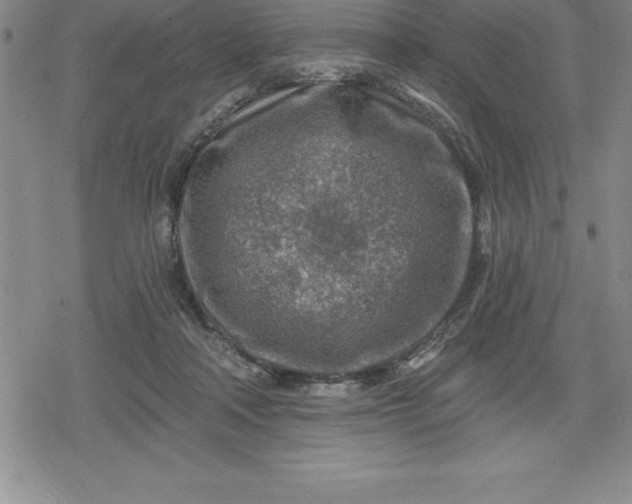 X0000080200314200612221412