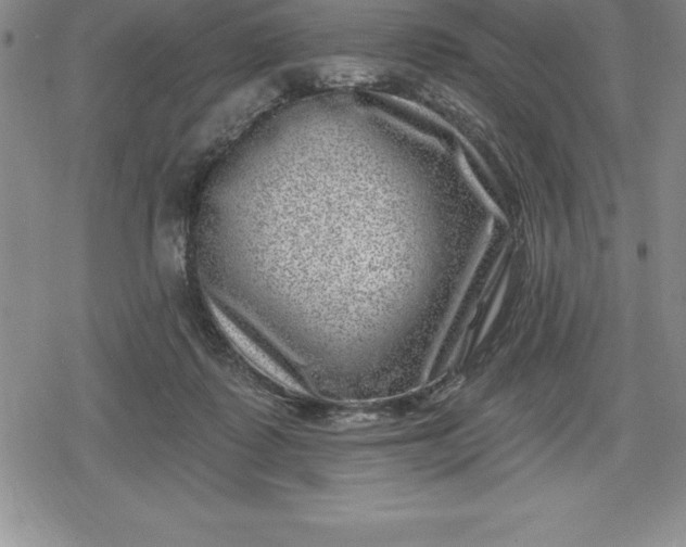 X0000080200315200612221412