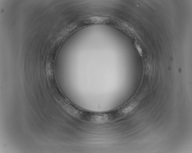 X0000080200317200612221412