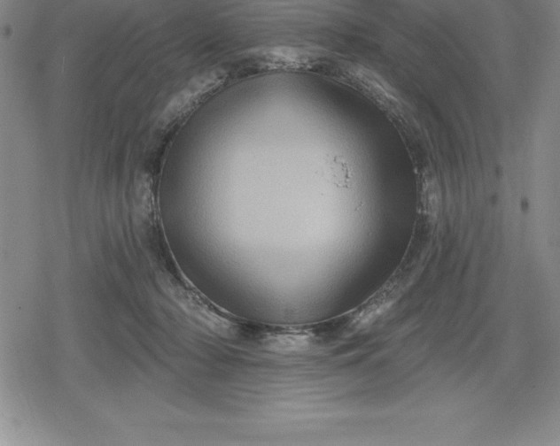 X0000080200318200612221412