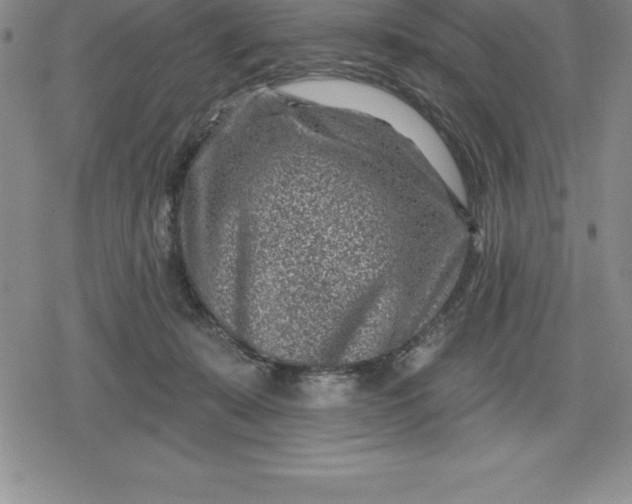 X0000080200319200612221412