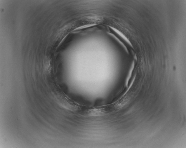 X0000080200320200612221412