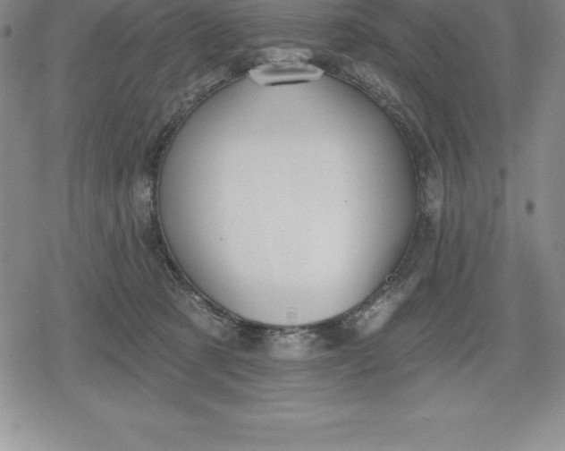 X0000080200321200612221412