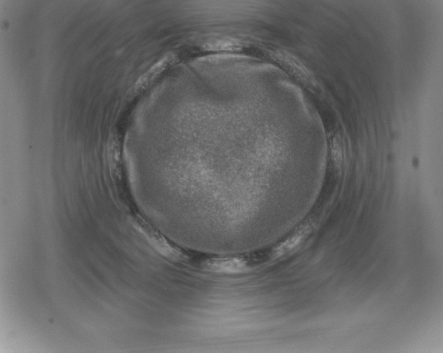 X0000080200322200612221412