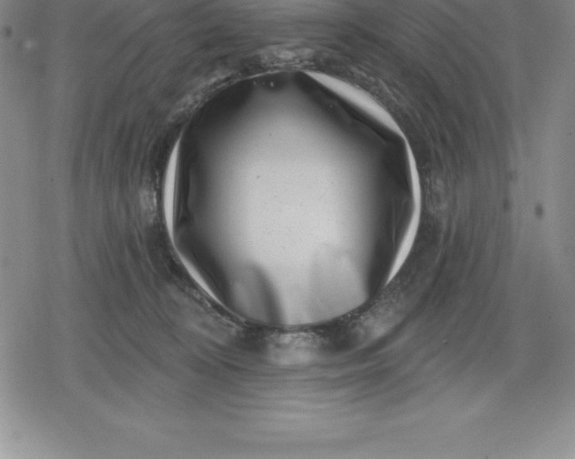 X0000080200324200612221412