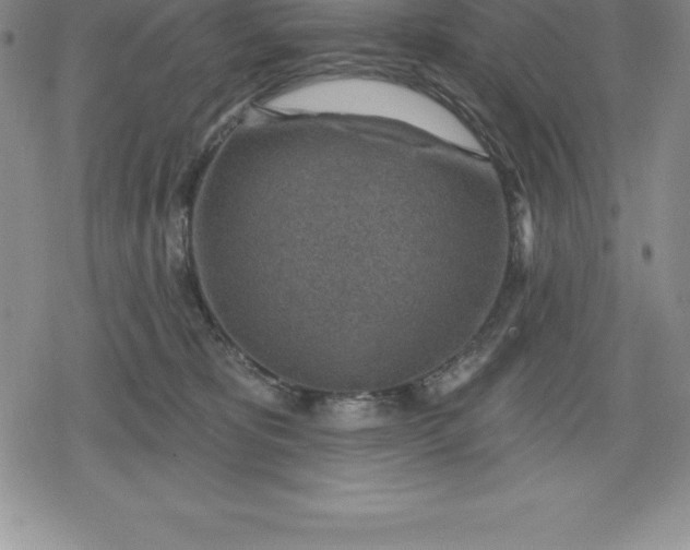 X0000080200325200612221412