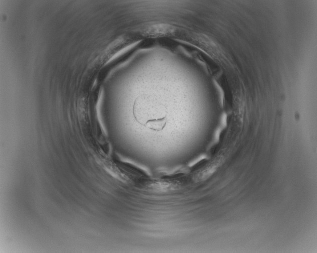 X0000080200326200612221412