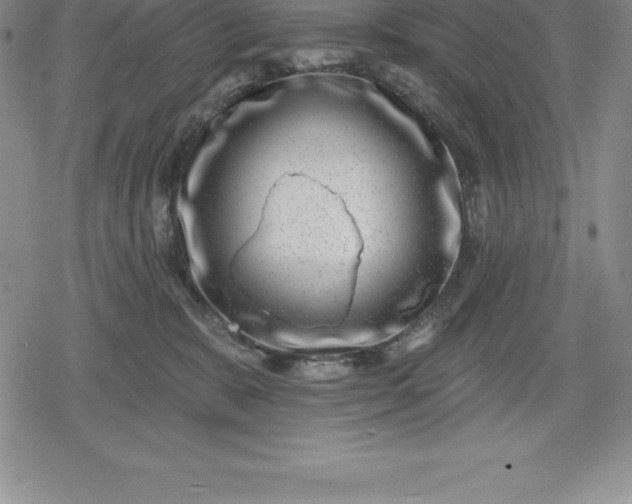 X0000080200327200612221412