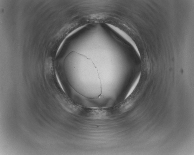 X0000080200328200612221412