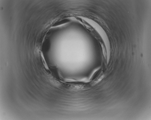 X0000080200329200612221412