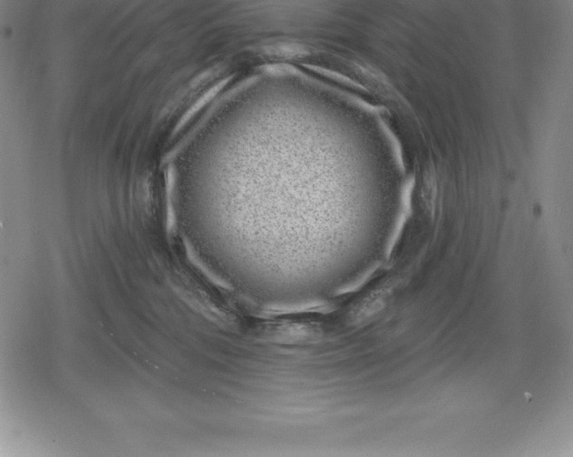 X0000080200330200612221412