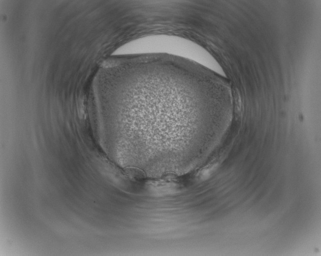 X0000080200331200612221412