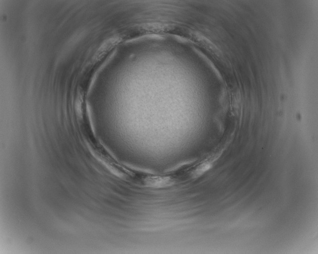 X0000080200334200612221412