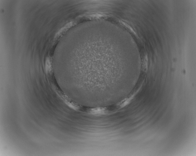 X0000080200335200612221412