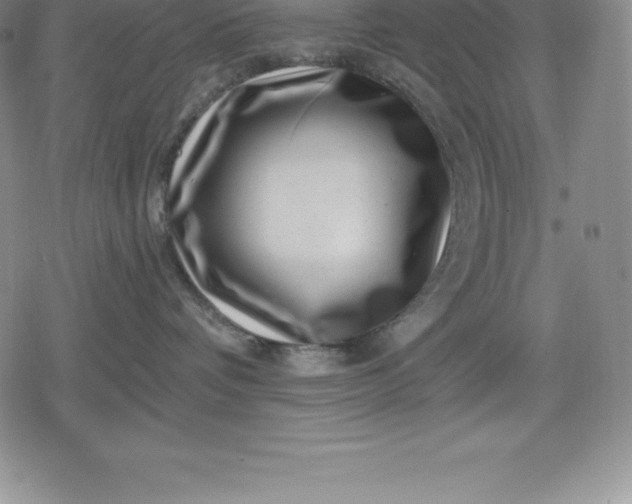 X0000080200336200612221412