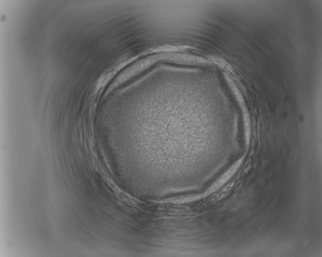 X0000080200337200612221411