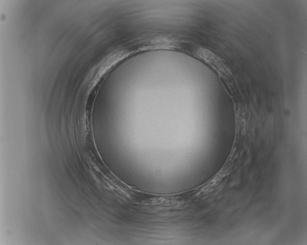 X0000080200338200612221411