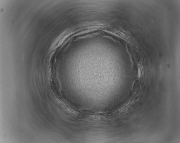 X0000080200339200612221411