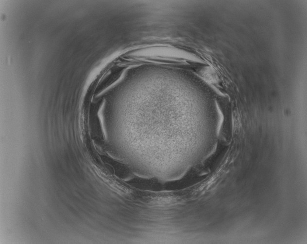 X0000080200342200612221411