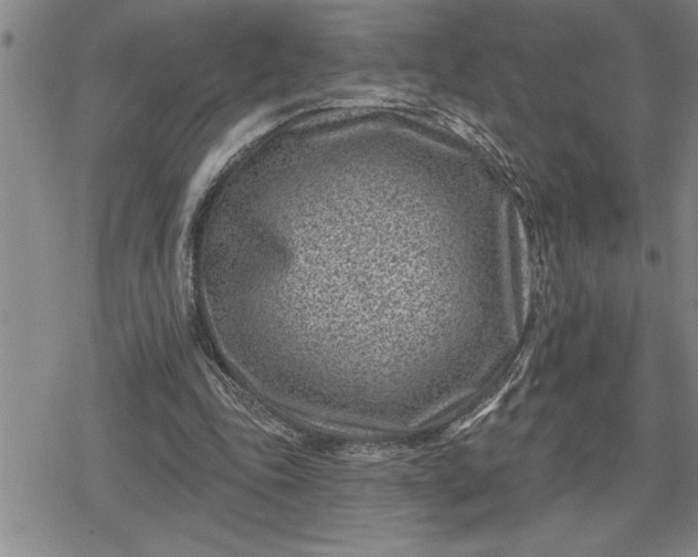 X0000080200343200612221411