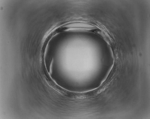 X0000080200344200612221411