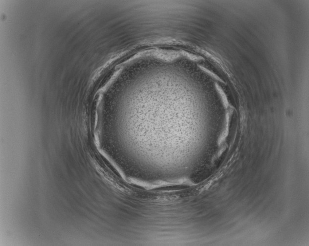 X0000080200345200612221411