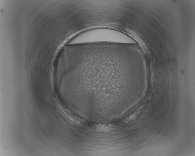 X0000080200346200612221411