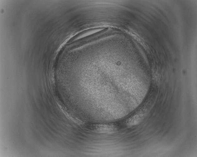 X0000080200347200612221411