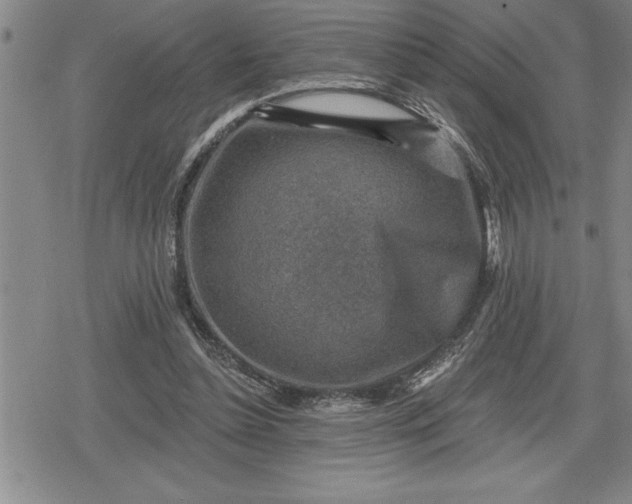 X0000080200348200612221411