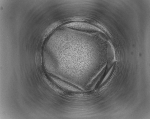 X0000080200349200612221411