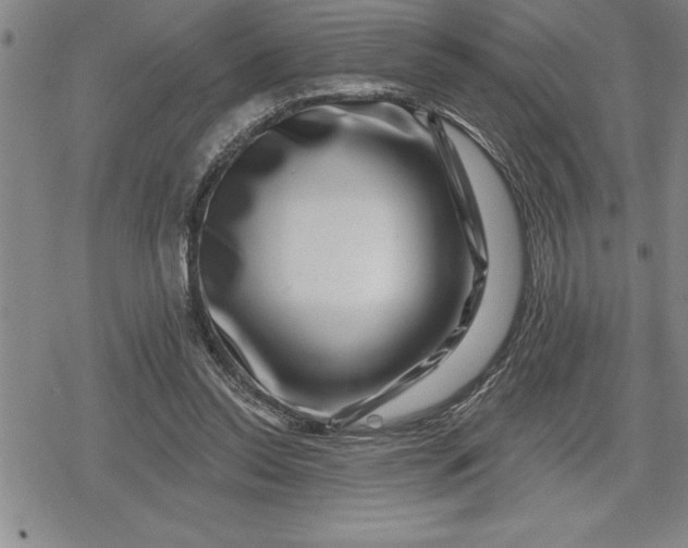 X0000080200350200612221411