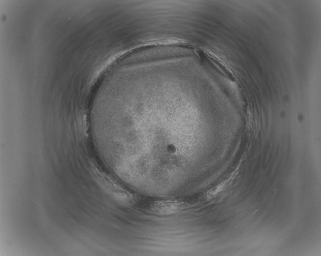 X0000080200351200612221411