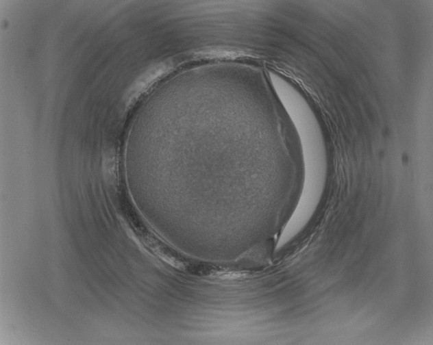 X0000080200352200612221411