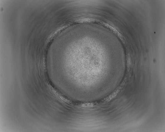 X0000080200353200612221411