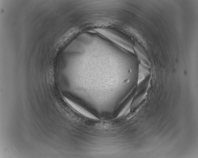 X0000080200354200612221411