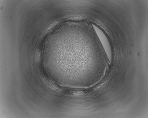 X0000080200355200612221411