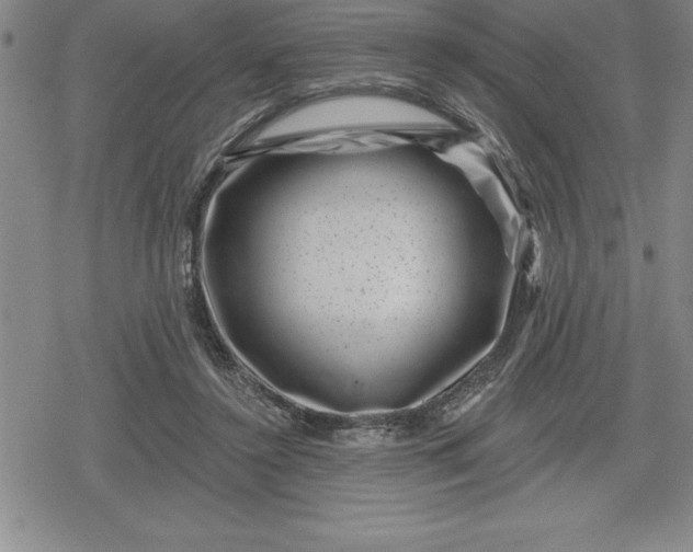 X0000080200356200612221411